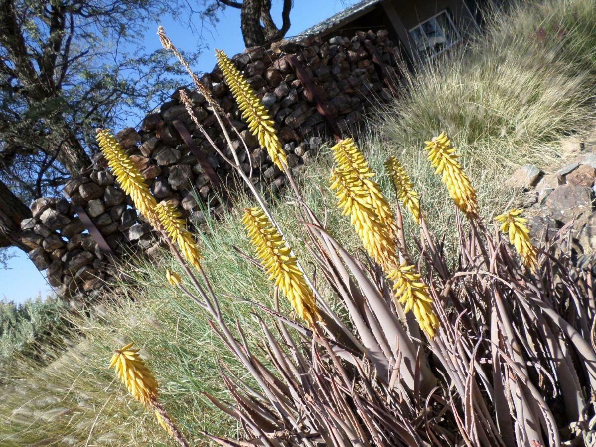Out Of Nature Country Lodge Windhoek Exterior foto